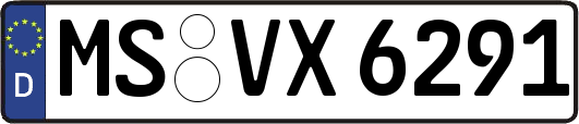MS-VX6291