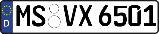 MS-VX6501