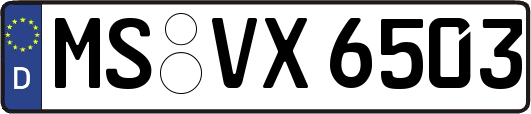 MS-VX6503
