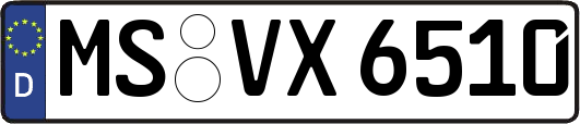 MS-VX6510