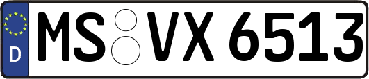 MS-VX6513