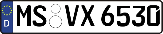 MS-VX6530