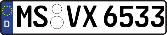 MS-VX6533