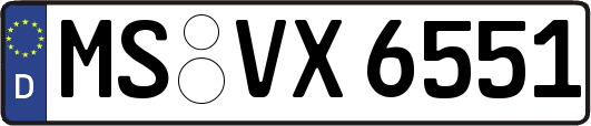 MS-VX6551