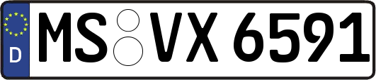 MS-VX6591
