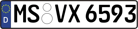 MS-VX6593