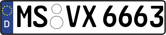 MS-VX6663