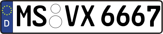 MS-VX6667