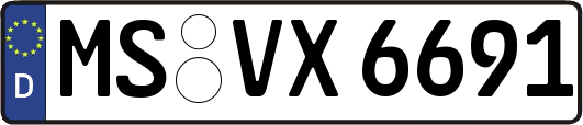 MS-VX6691