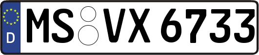 MS-VX6733