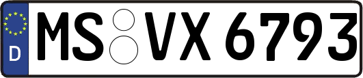 MS-VX6793