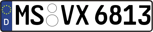 MS-VX6813