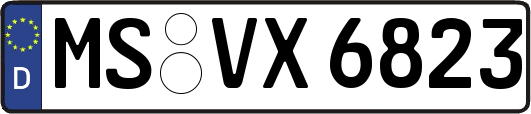 MS-VX6823