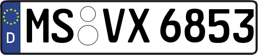 MS-VX6853