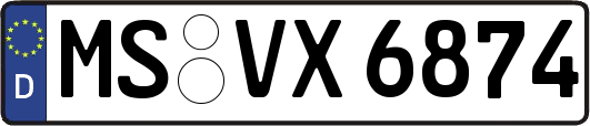 MS-VX6874