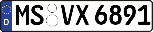 MS-VX6891