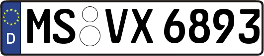 MS-VX6893