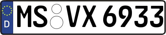MS-VX6933