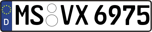 MS-VX6975