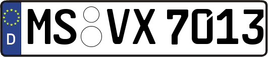 MS-VX7013