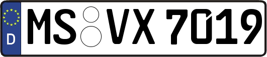 MS-VX7019