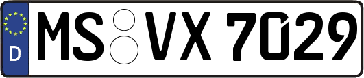 MS-VX7029