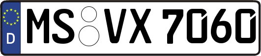 MS-VX7060