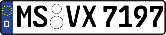 MS-VX7197