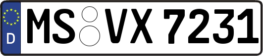 MS-VX7231