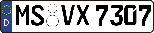 MS-VX7307