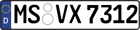 MS-VX7312