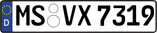 MS-VX7319