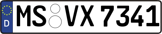 MS-VX7341