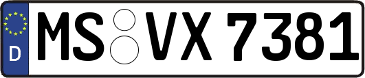 MS-VX7381