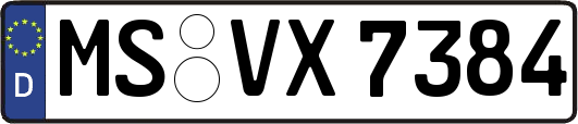 MS-VX7384