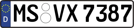 MS-VX7387