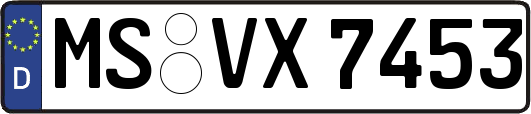 MS-VX7453