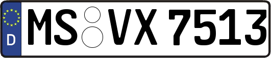 MS-VX7513