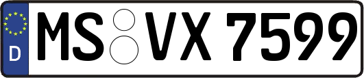 MS-VX7599