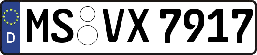 MS-VX7917