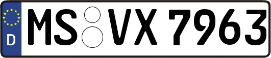 MS-VX7963