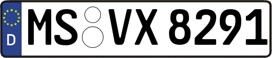MS-VX8291