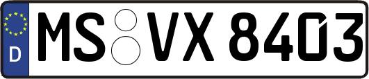 MS-VX8403