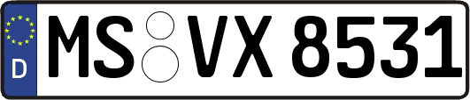 MS-VX8531