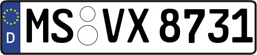MS-VX8731