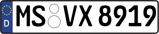 MS-VX8919