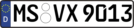 MS-VX9013
