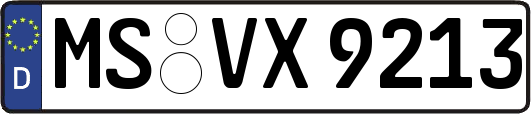 MS-VX9213