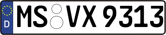 MS-VX9313