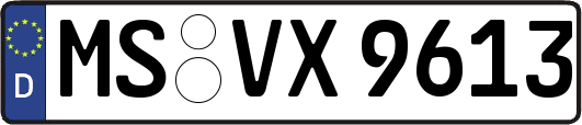 MS-VX9613